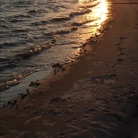 Meet your Posher, Katie - Picture 1 of 1